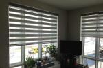 Sheer Horizontal Blinds